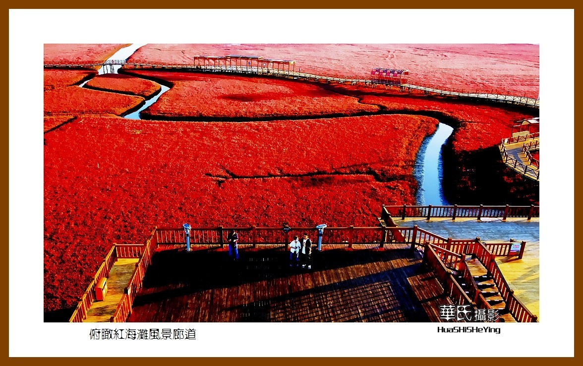 美色辽宁——俯瞰红海滩风景廊道之二（盘锦市）