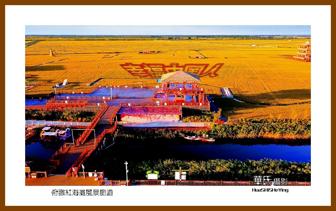 美色辽宁——俯瞰红海滩风景廊道之二（盘锦市）