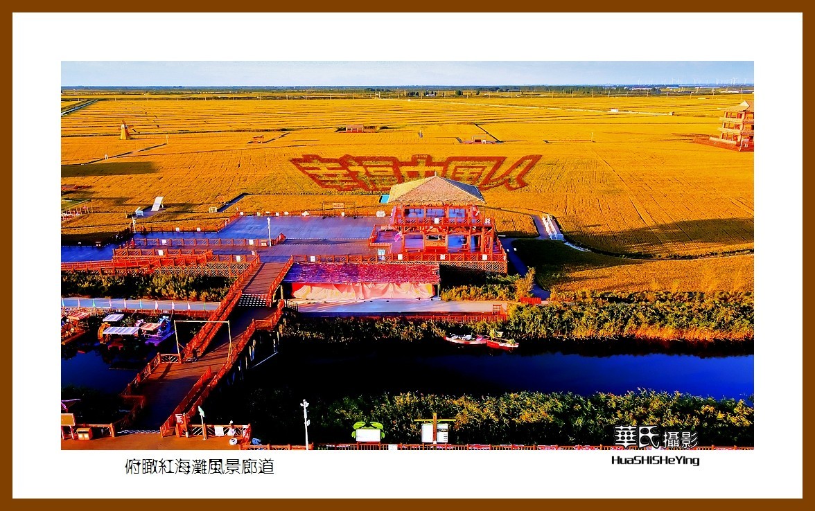 美色辽宁——俯瞰红海滩风景廊道之二（盘锦市）