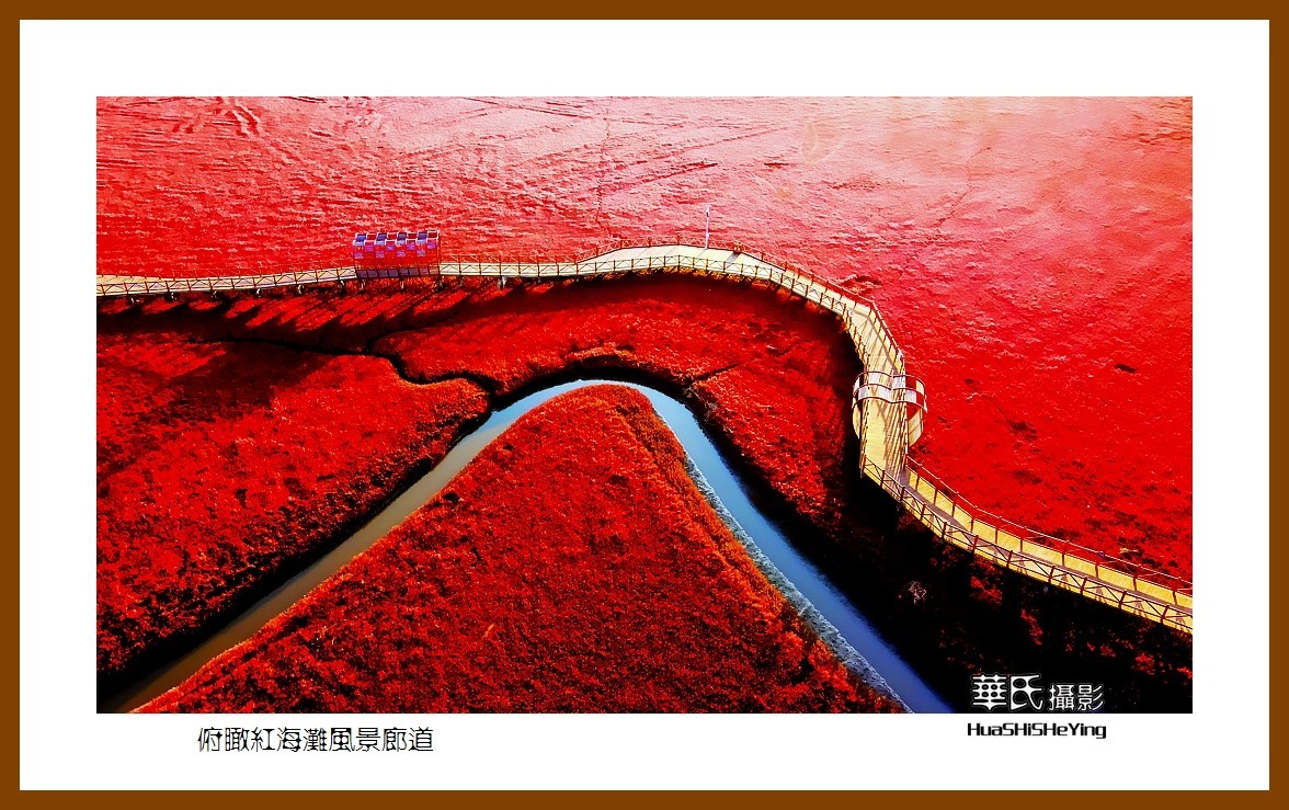 美色辽宁——俯瞰红海滩风景廊道之二（盘锦市）