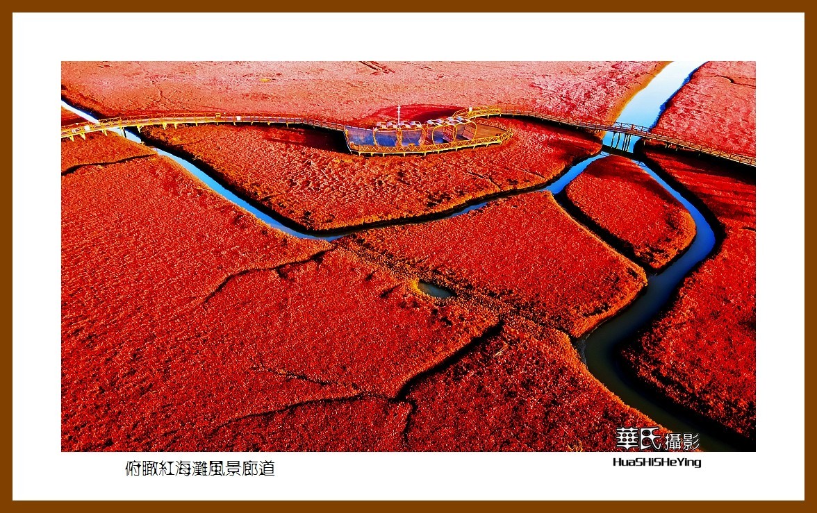 美色辽宁——俯瞰红海滩风景廊道之二（盘锦市）