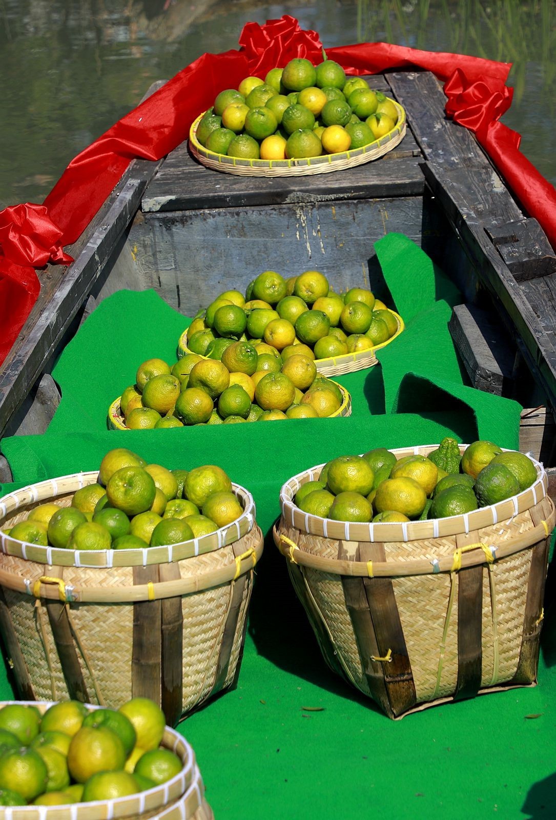 2023中国瓯柑文化节4