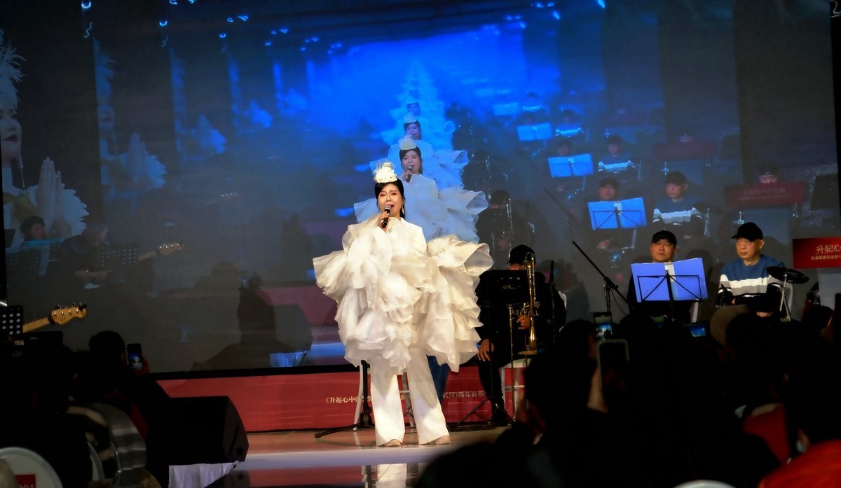 马丽新春演唱会上马丽老师！