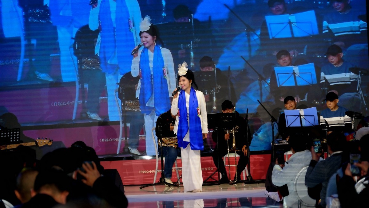 马丽新春演唱会上马丽老师！