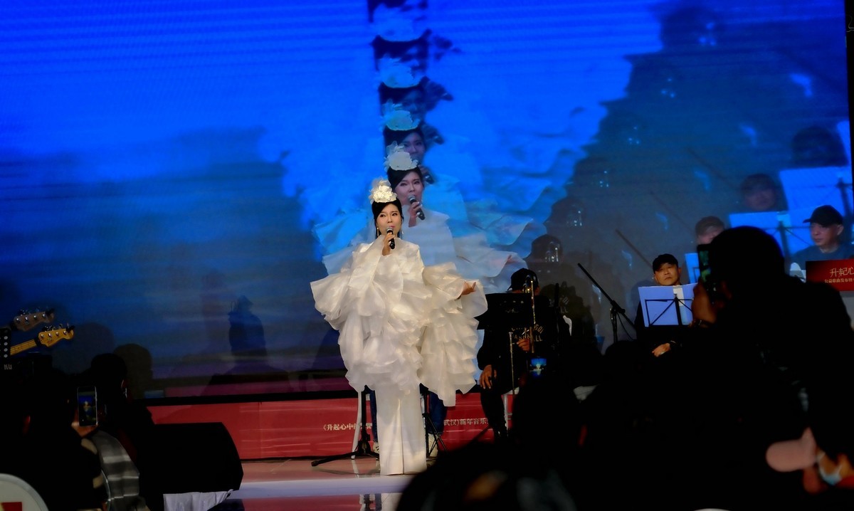 马丽新春演唱会上马丽老师！