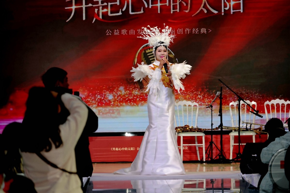 马丽新春演唱会上马丽老师！