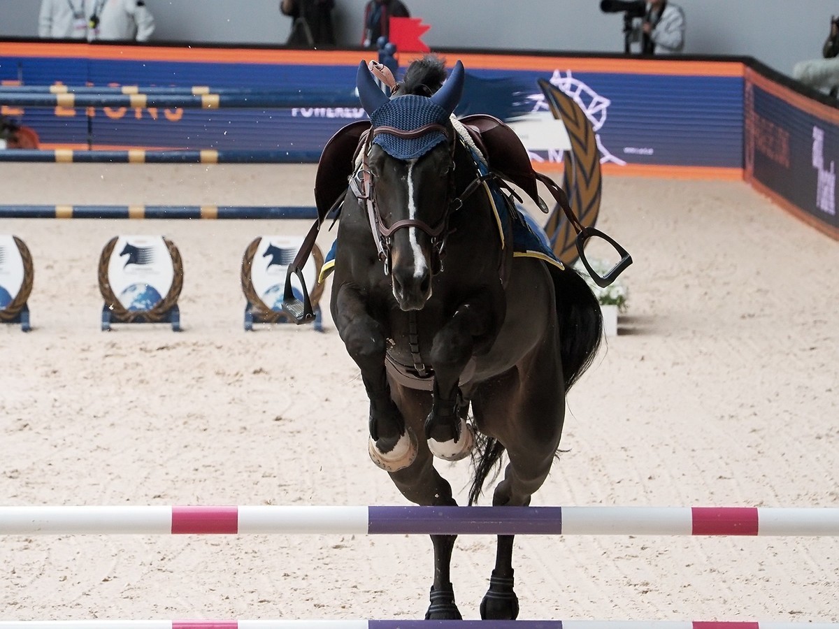 2024上海浪琴环球马术冠军赛