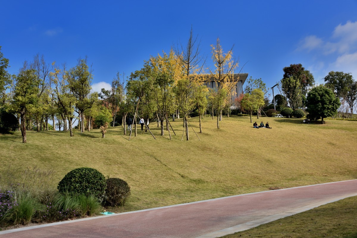 兴隆湖湿地公园【5】