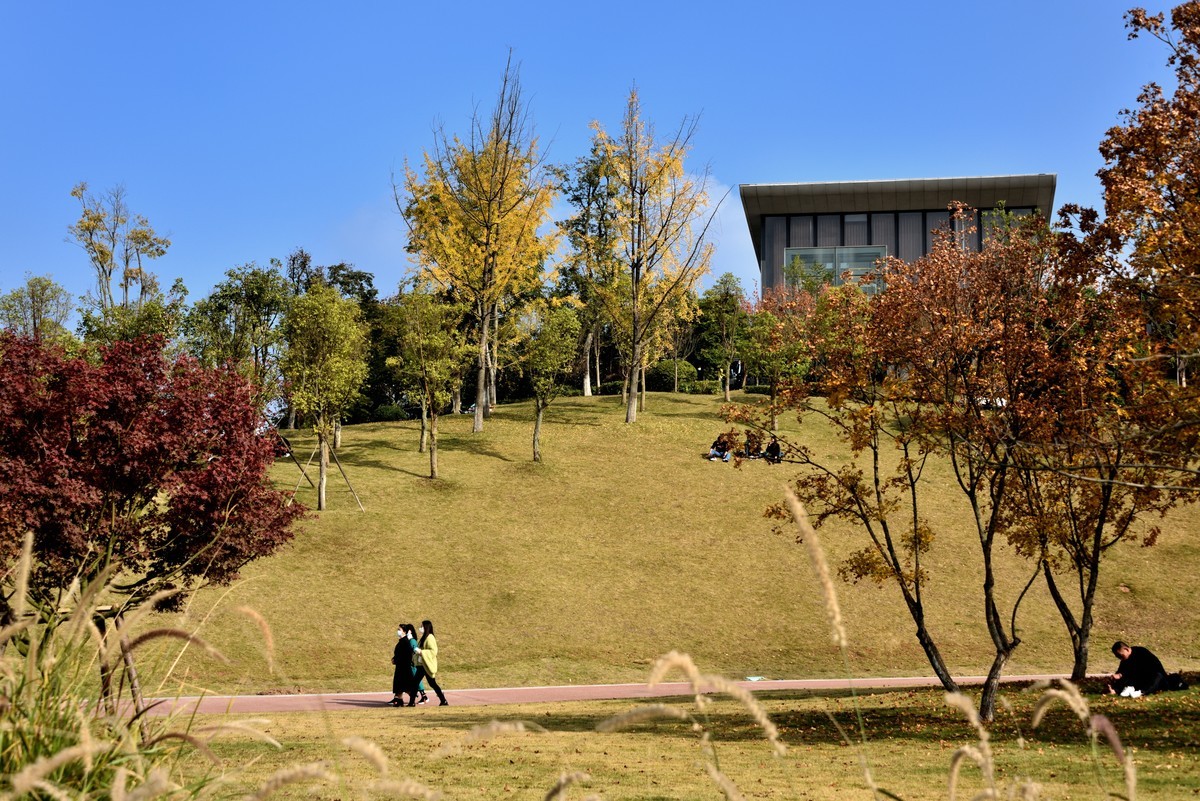 兴隆湖湿地公园【5】