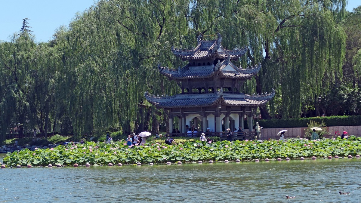 美丽的陶然亭公园景色