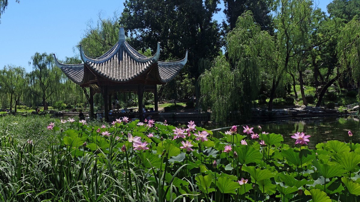 美丽的陶然亭公园景色