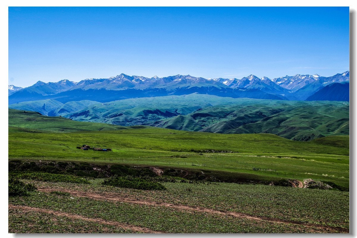 新疆之旅——喀拉峻草原（1）