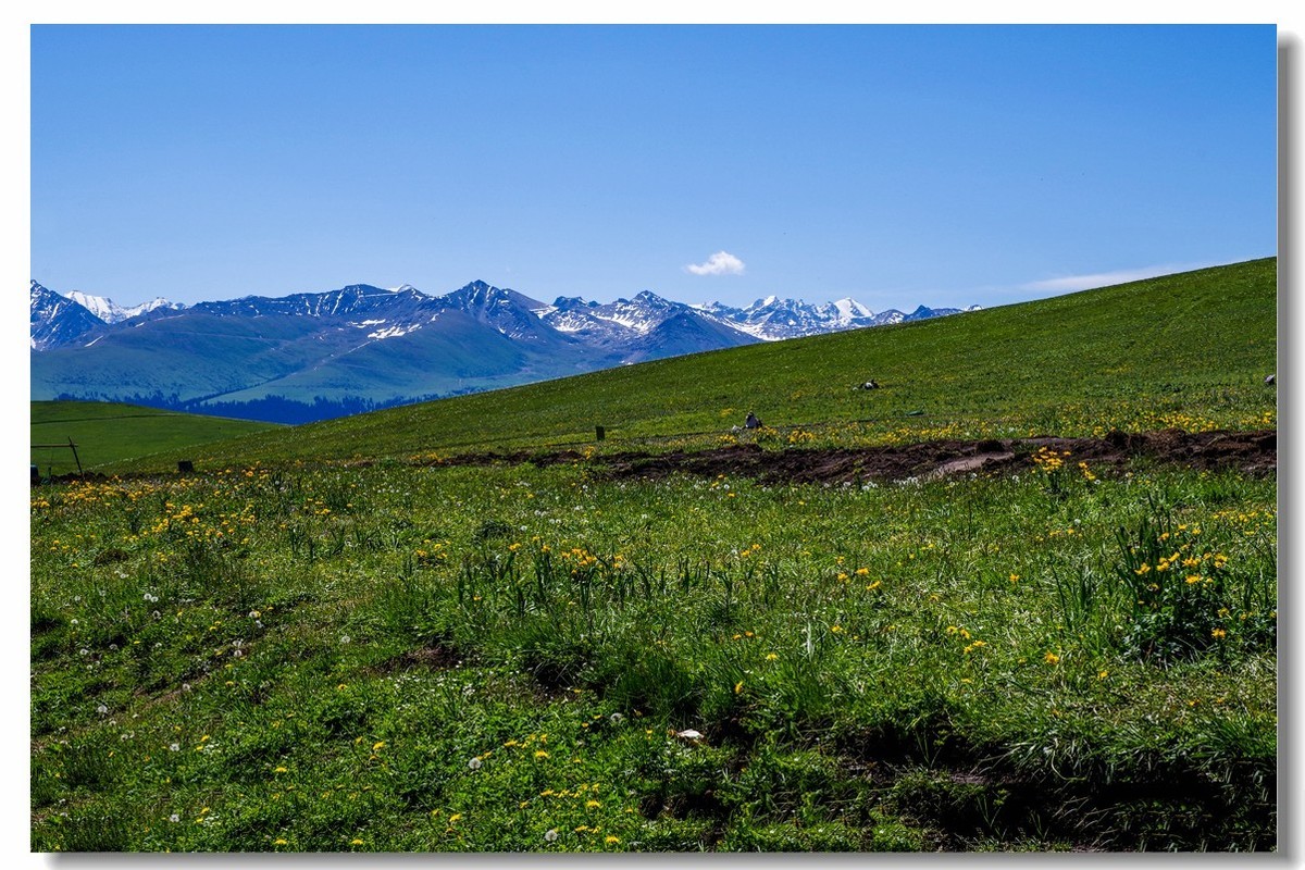 新疆之旅——喀拉峻草原（1）