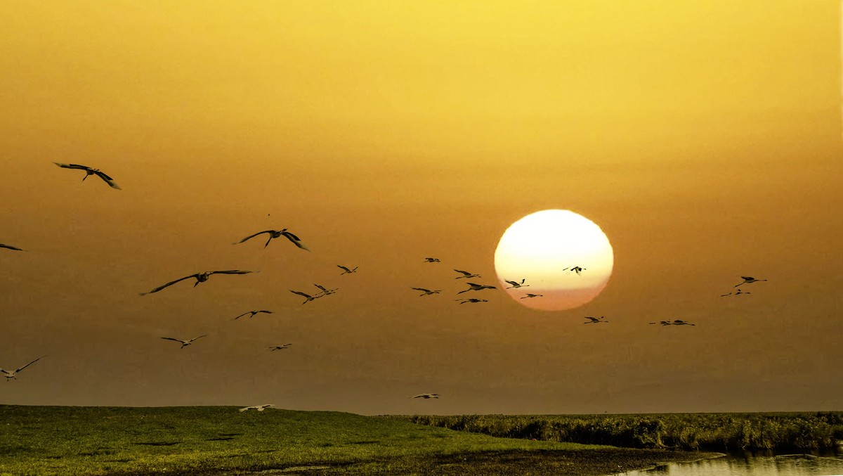 一路向北一一东北行散记3