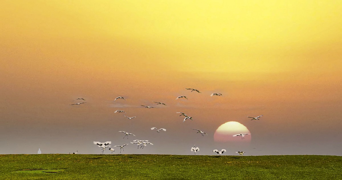 一路向北一一东北行散记3