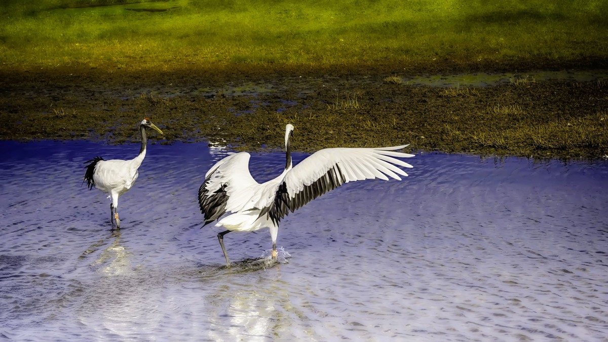 一路向北一一东北行散记3