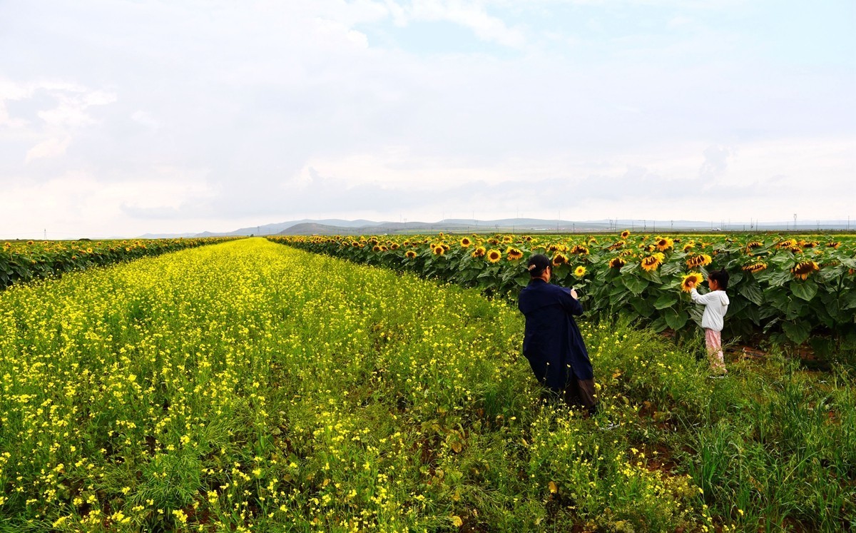 内蒙卓资县红石崖国家生态公园【2】