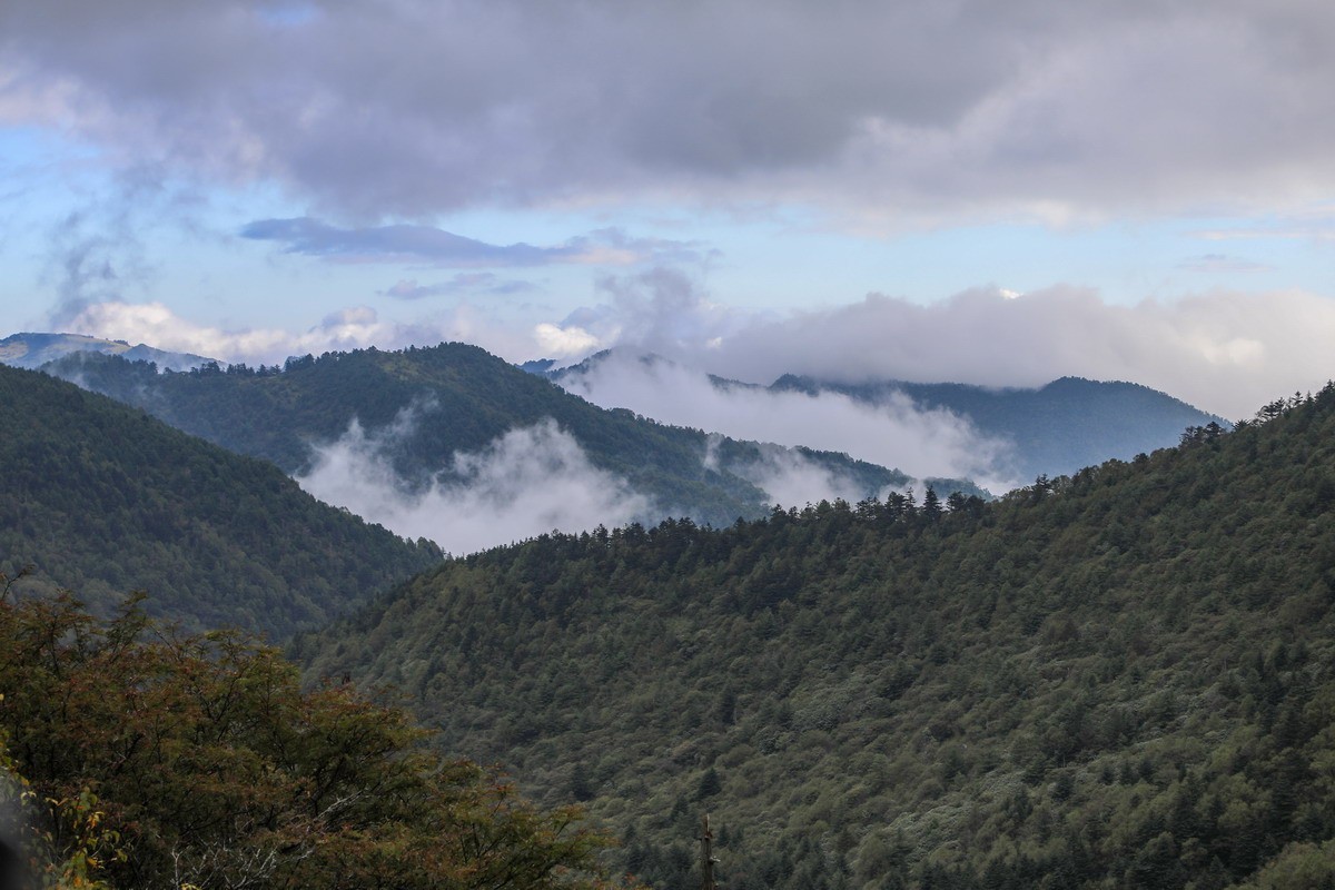 神农架4-----登神农顶