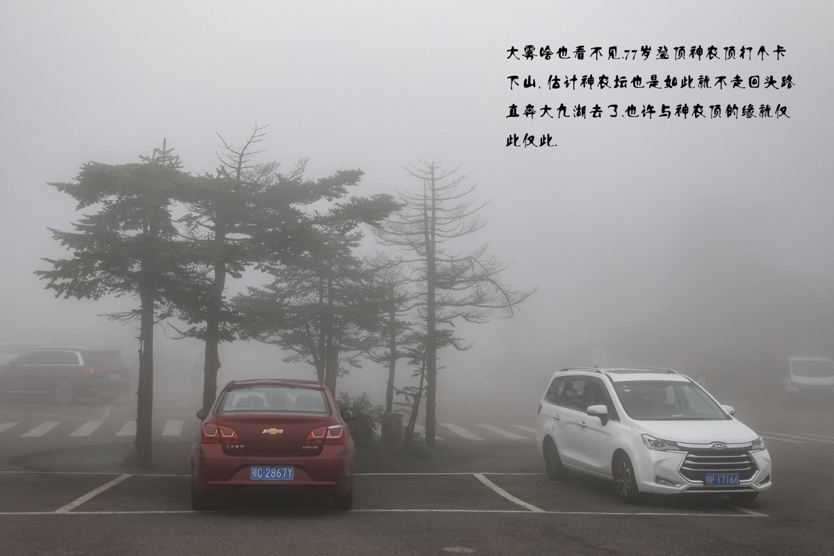 神农架4-----登神农顶