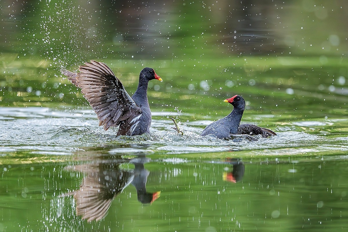 狭路相逢勇者胜