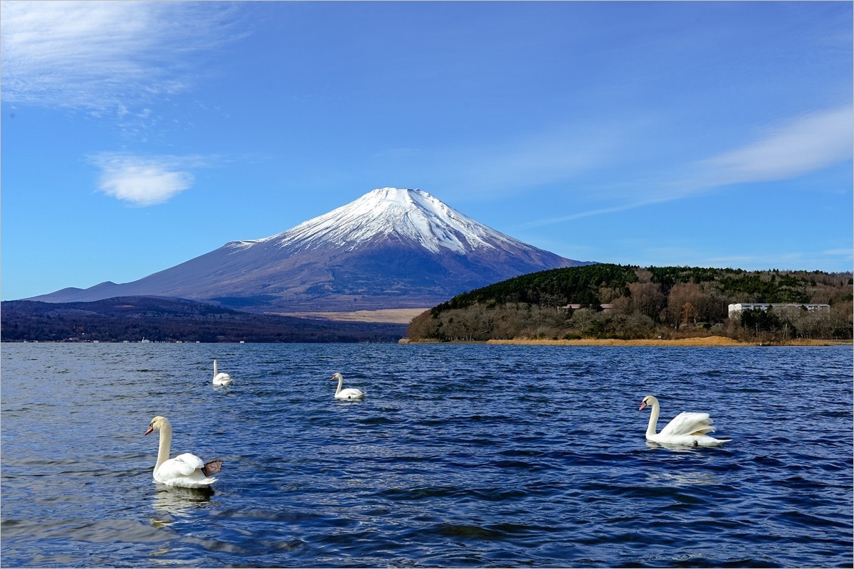 2025年第0026贴-富士山风光旅拍（0110）