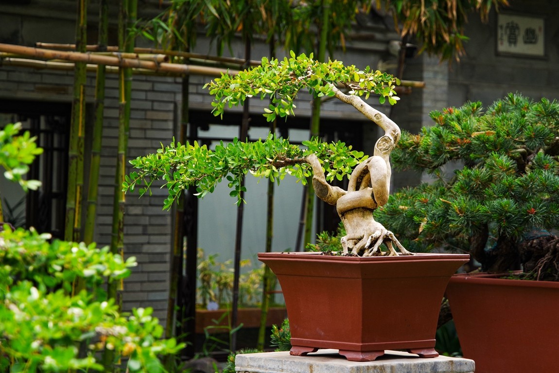 中国四大名园之--个园【1】