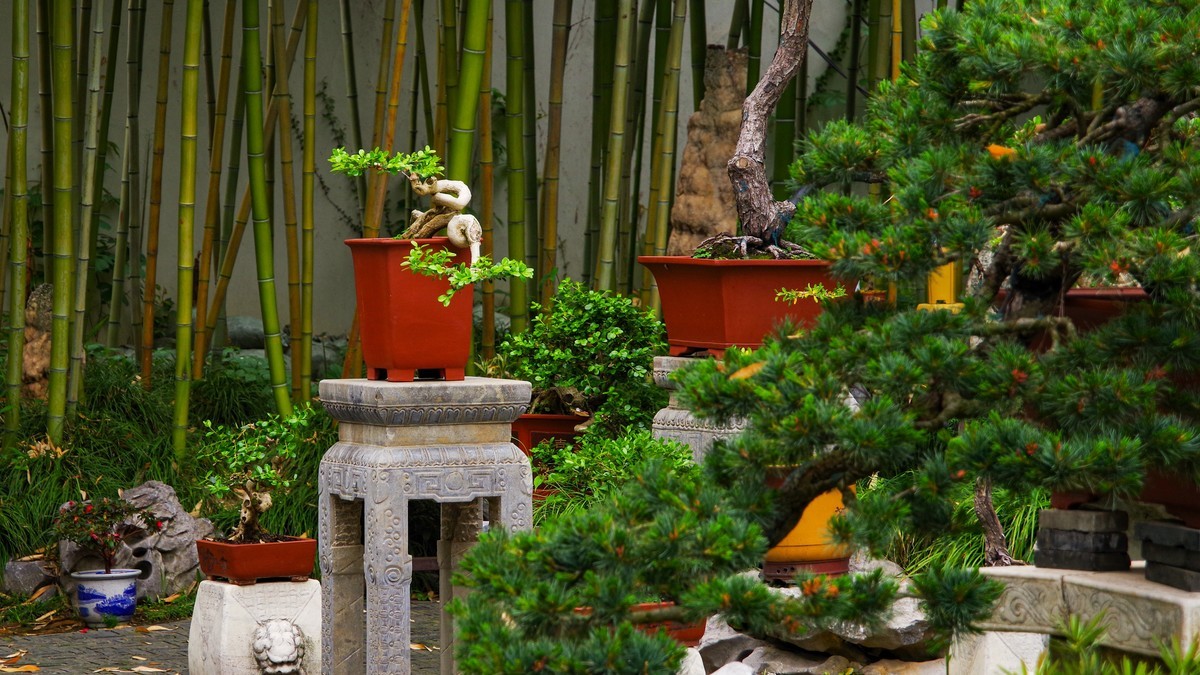 中国四大名园之--个园【1】