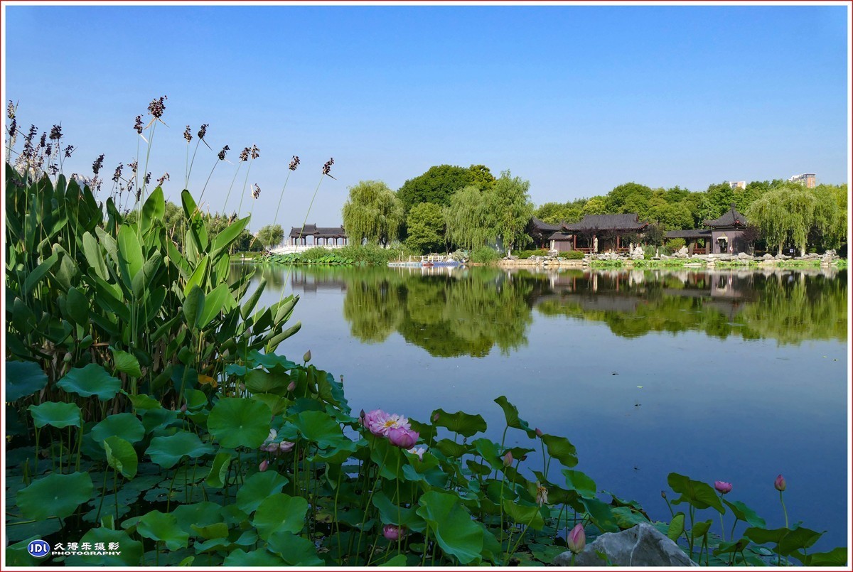 202270夏日的沙湖公园