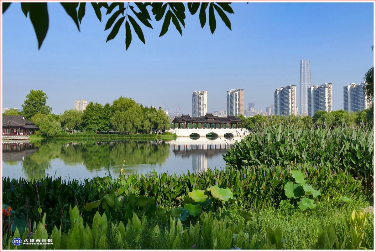202267夏日的沙湖公园
