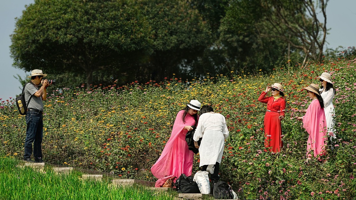 在秋天里赏花的心情