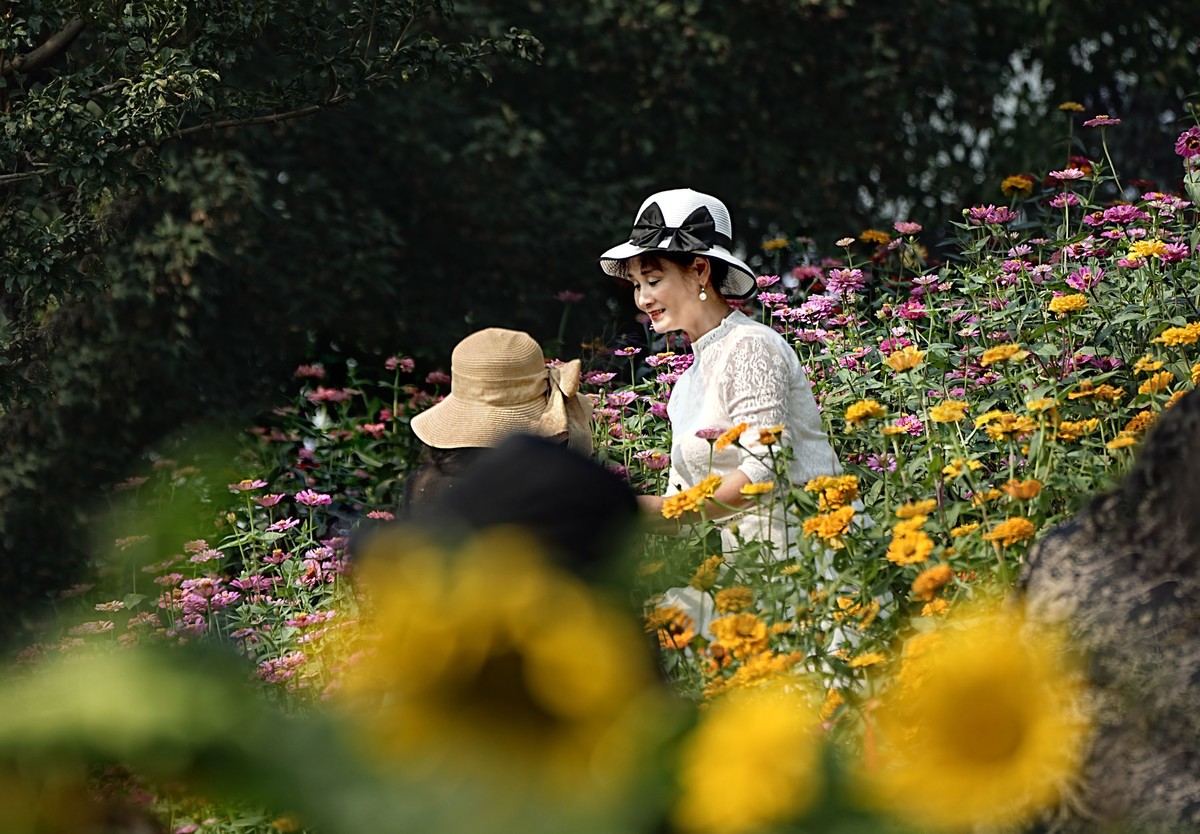 在秋天里赏花的心情