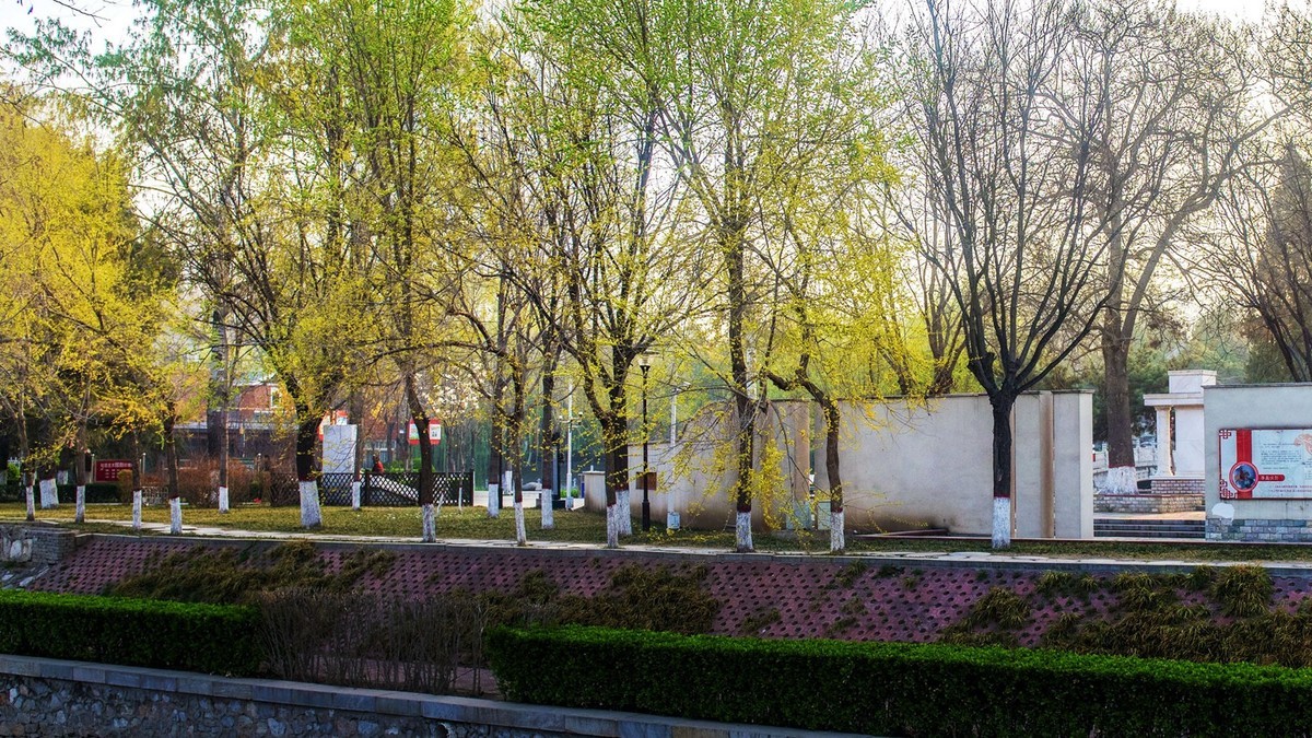 春到园林●（2）