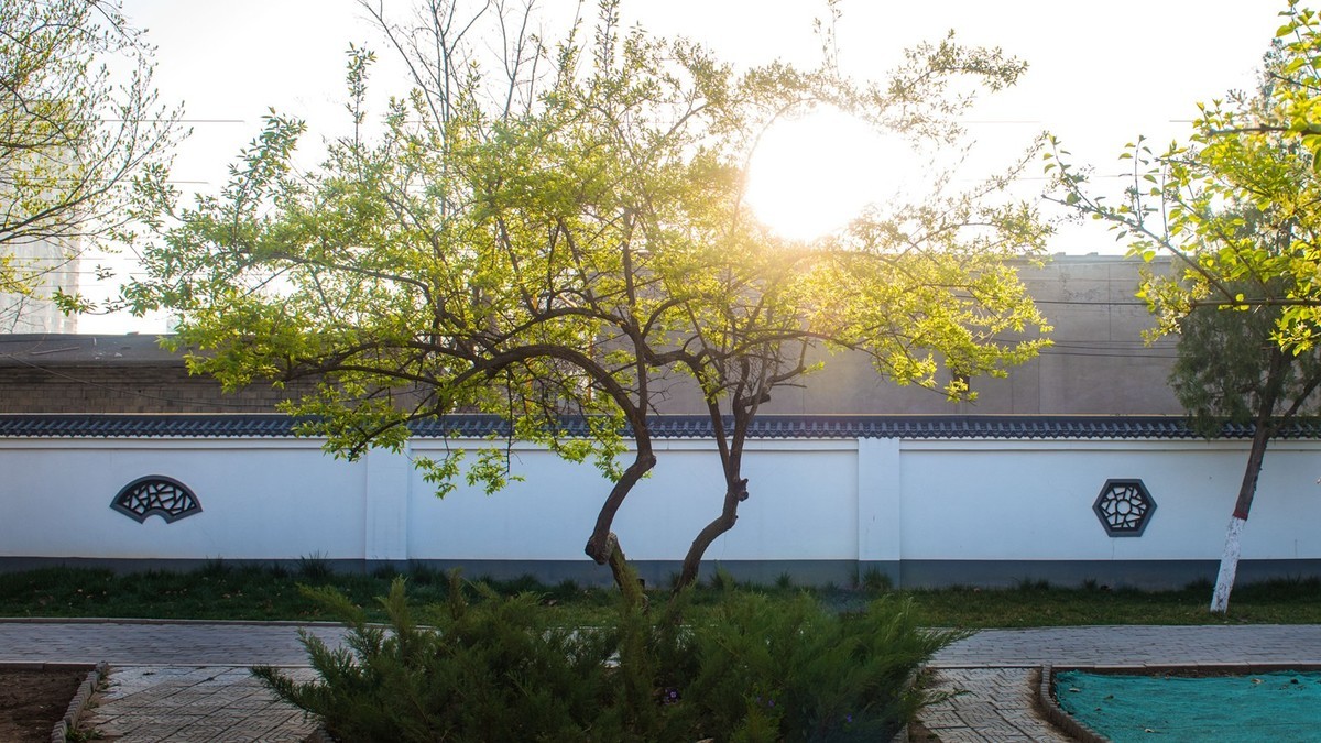 春到园林●（2）