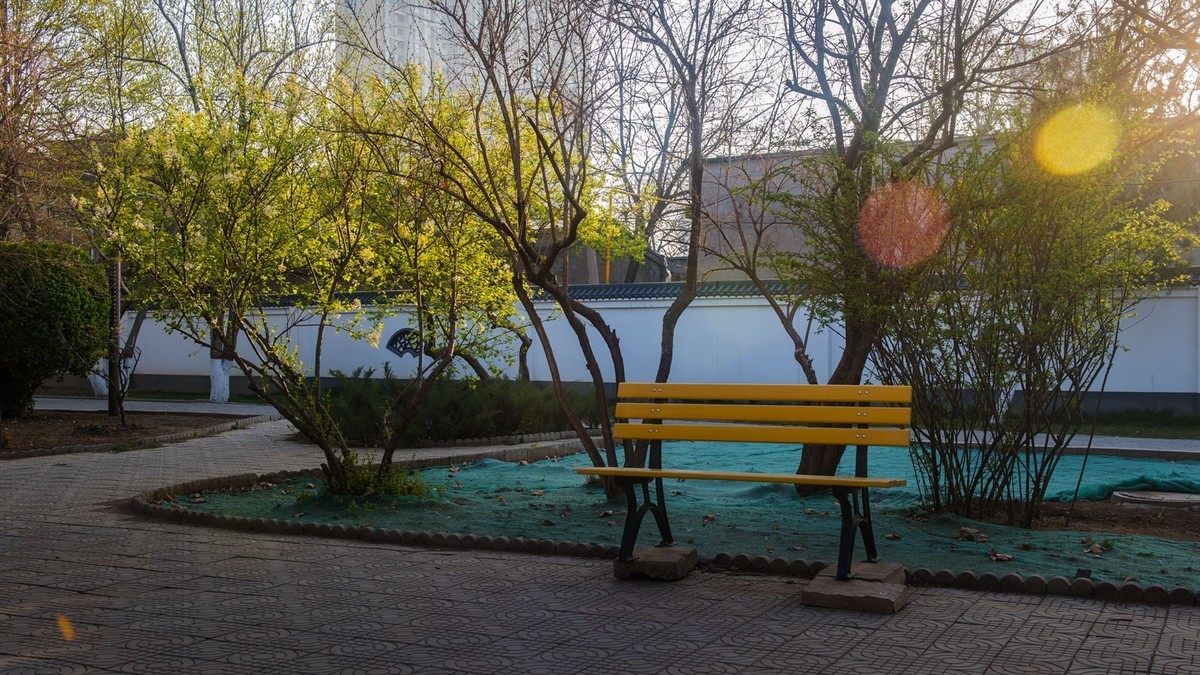 春到园林●（2）