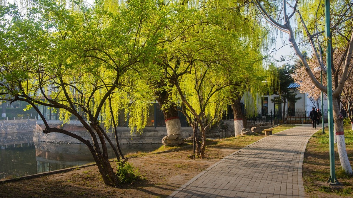 春到园林●（2）