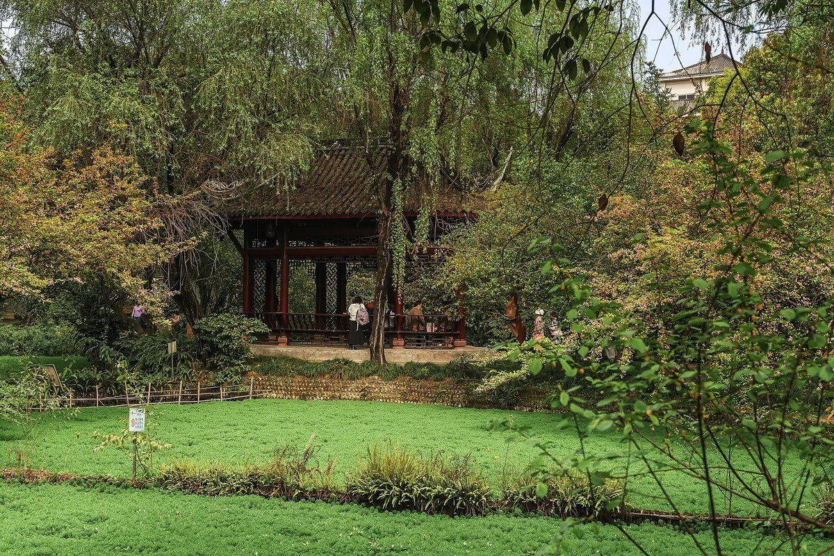 成都双流·棠湖公园