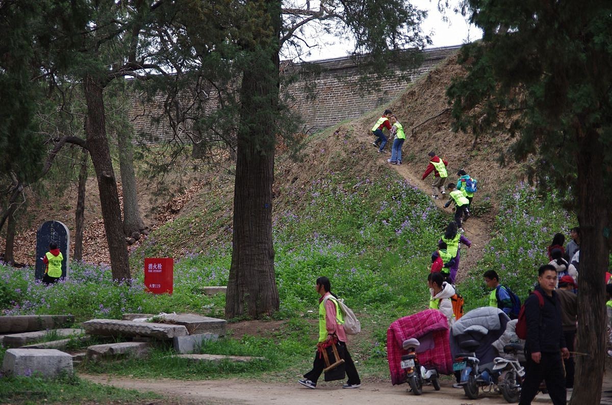 山东曲阜孔林-26P