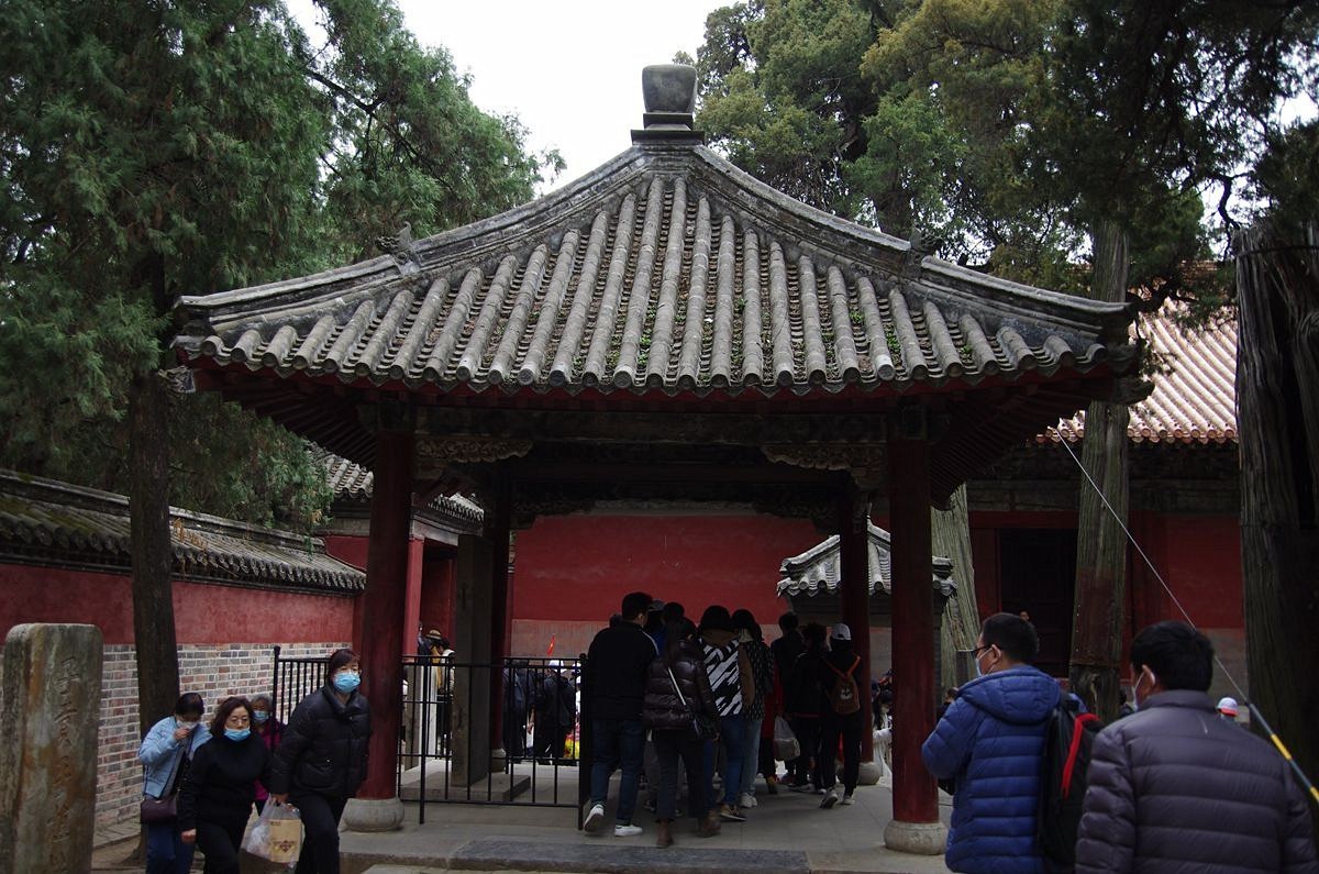 山东曲阜孔林-26P