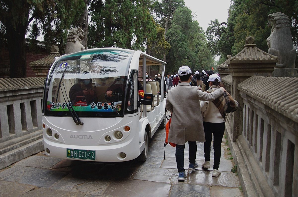 山东曲阜孔林-26P