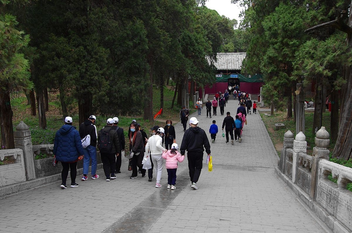 山东曲阜孔林-26P