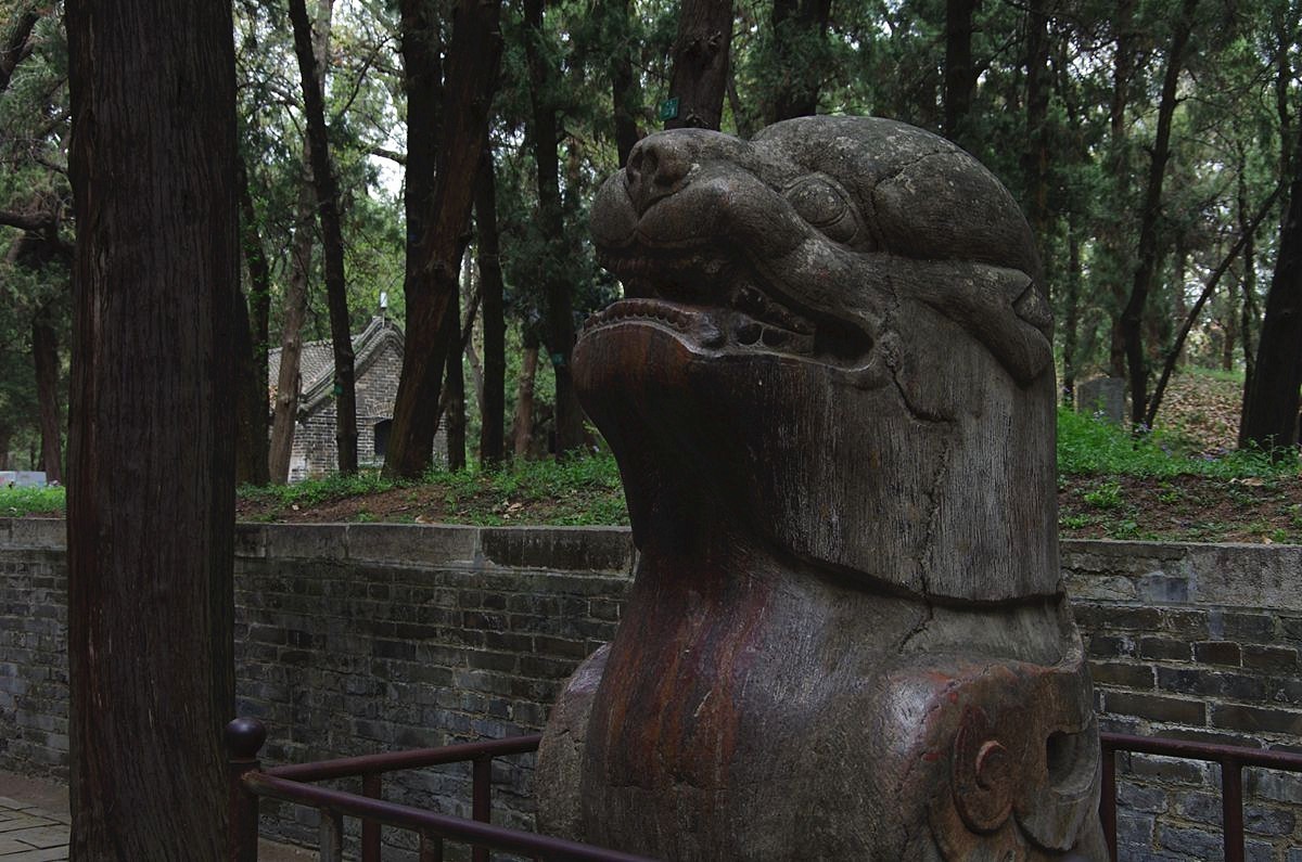 山东曲阜孔林-26P