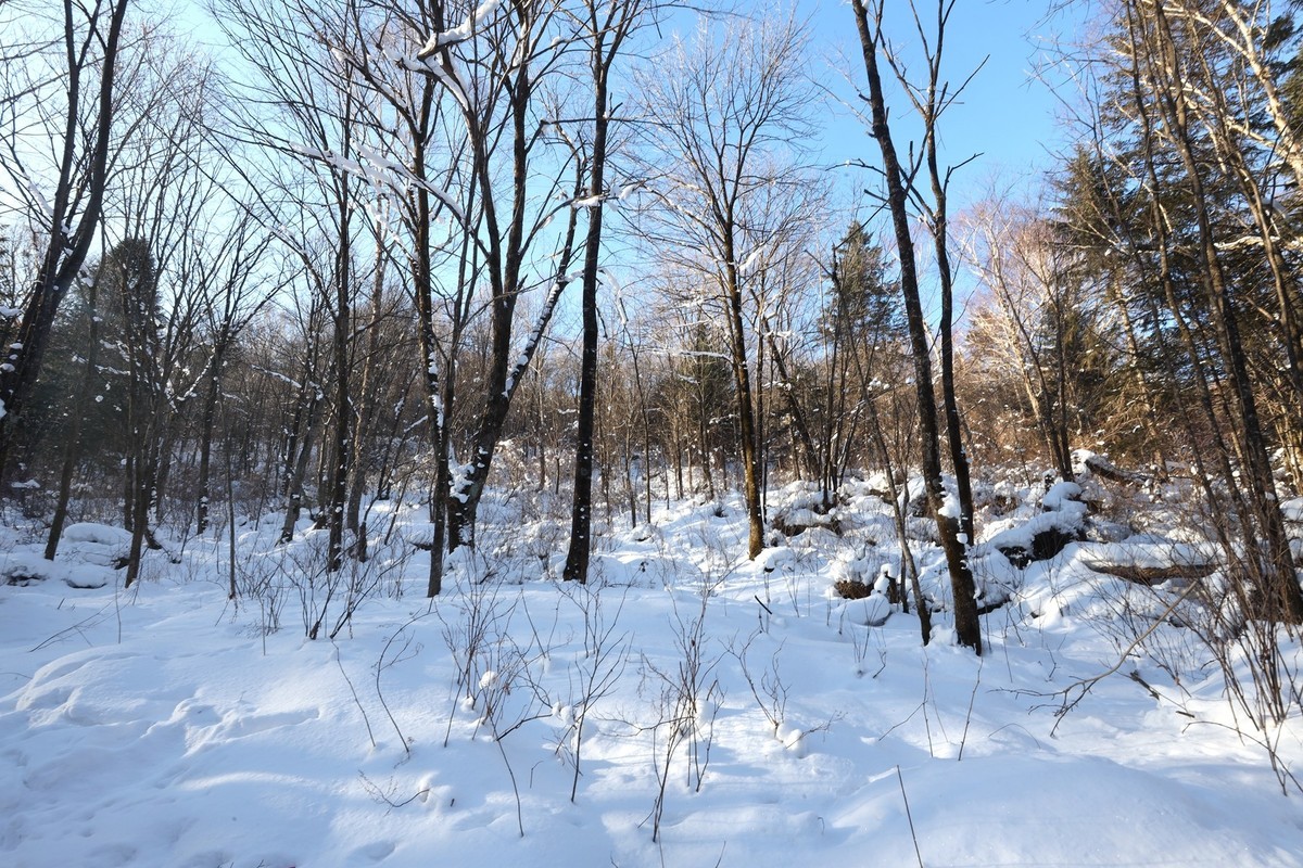 雪谷--智取威虎山取景地