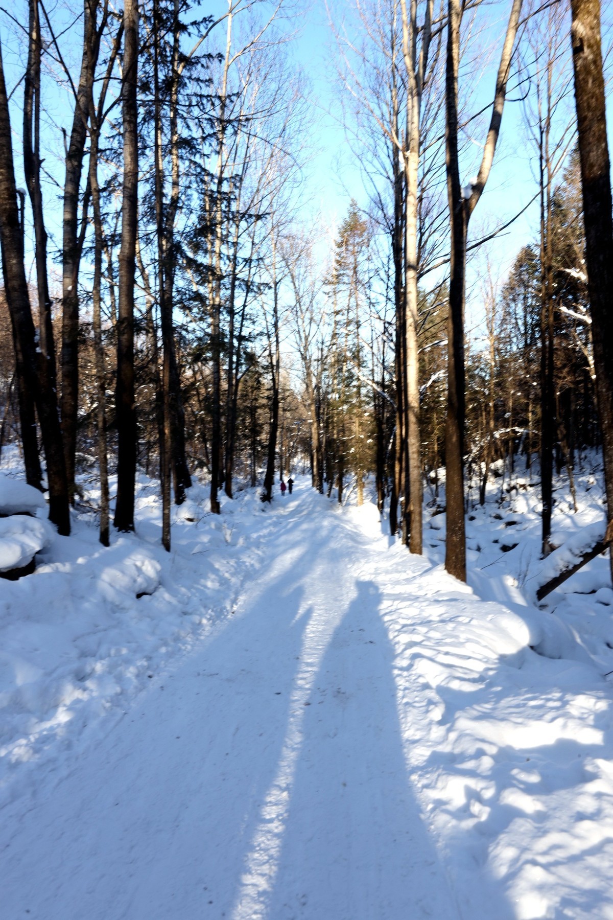 雪谷--智取威虎山取景地