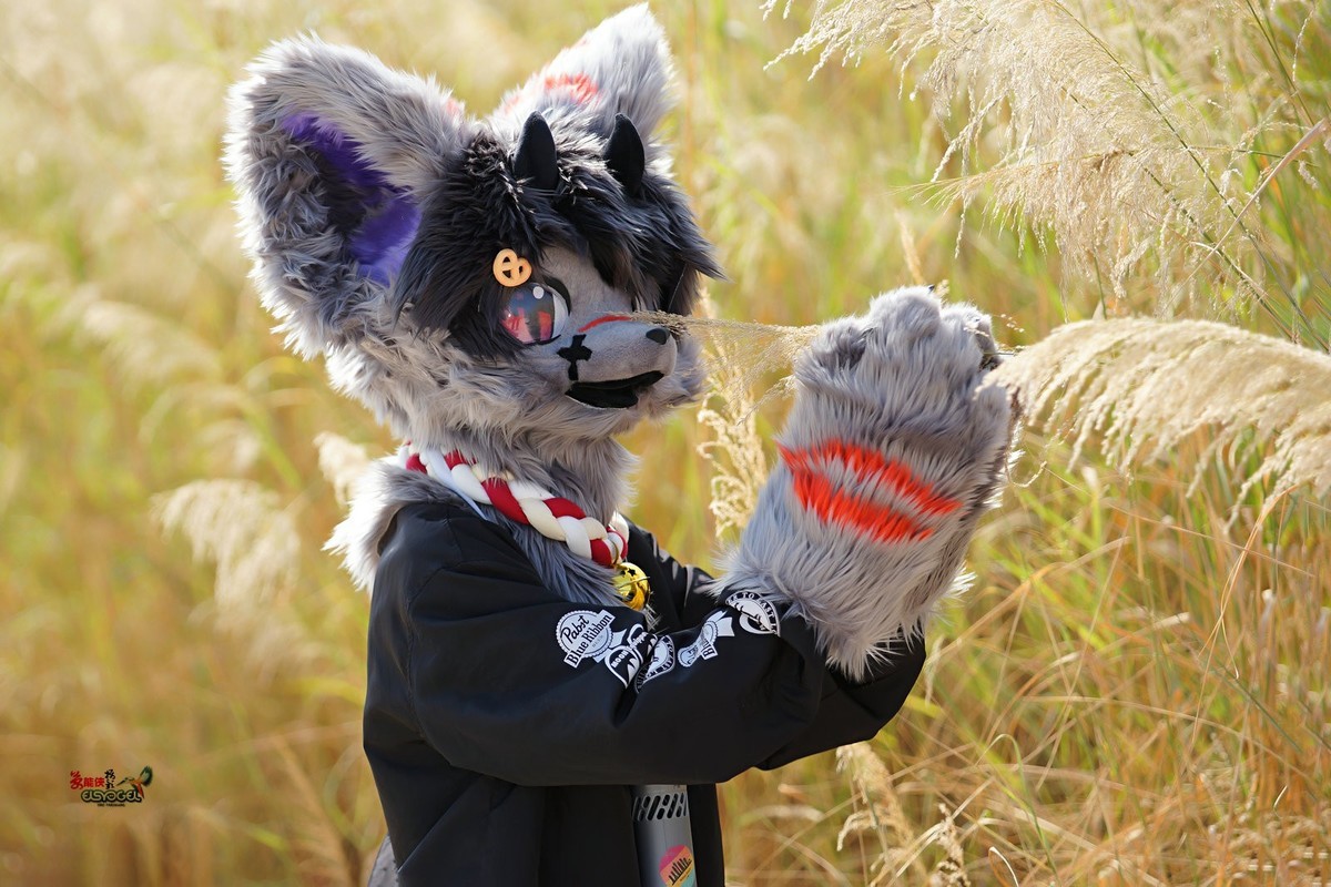【毛绒犬系酷男】---浩浩