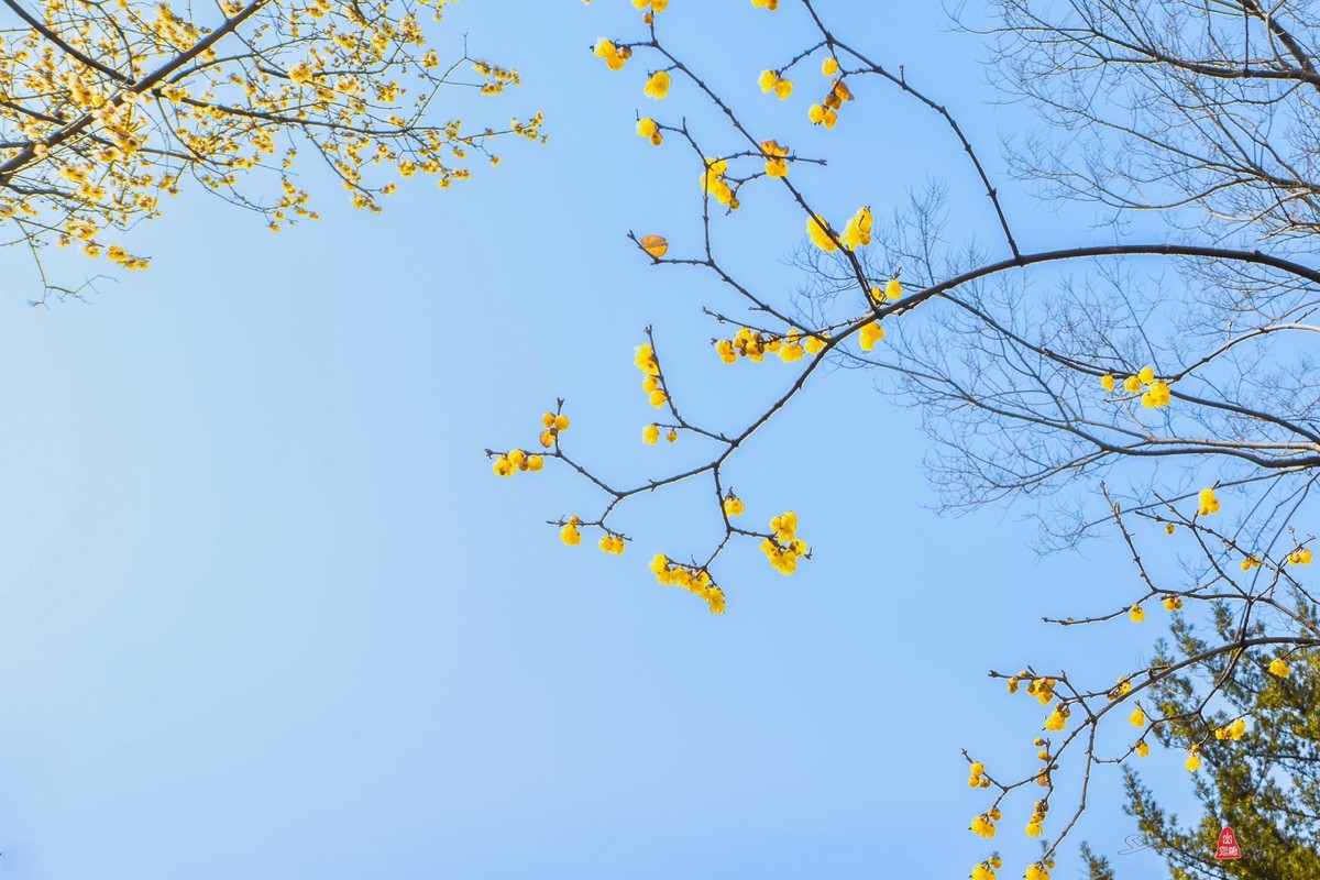 索尼10-20超广镜头试拍