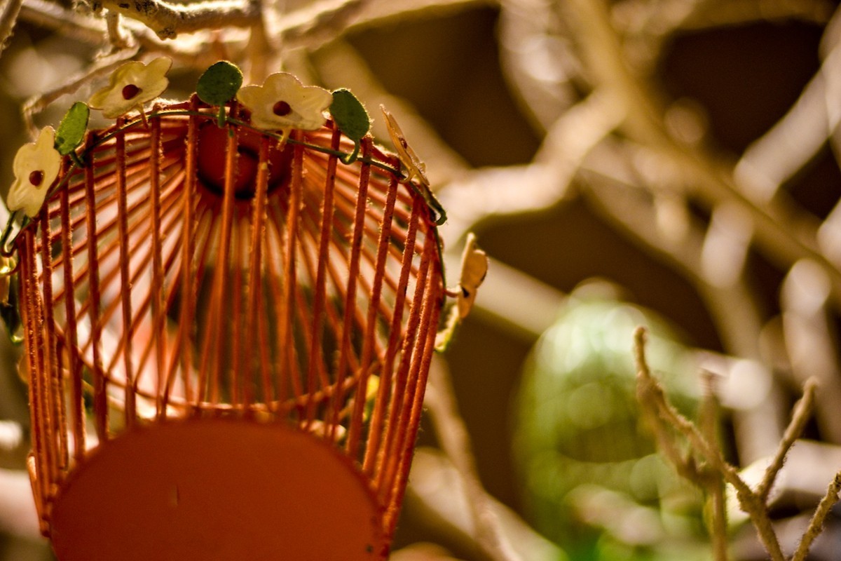 “迪斯尼”夜拍（巴黎）