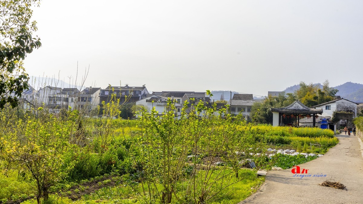 三月下江南——温州古镇杂拍（5）