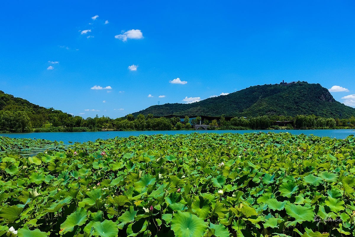 夏日湘湖（9）