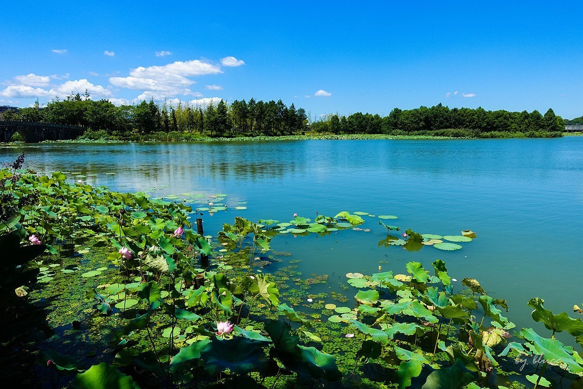 夏日湘湖（9）