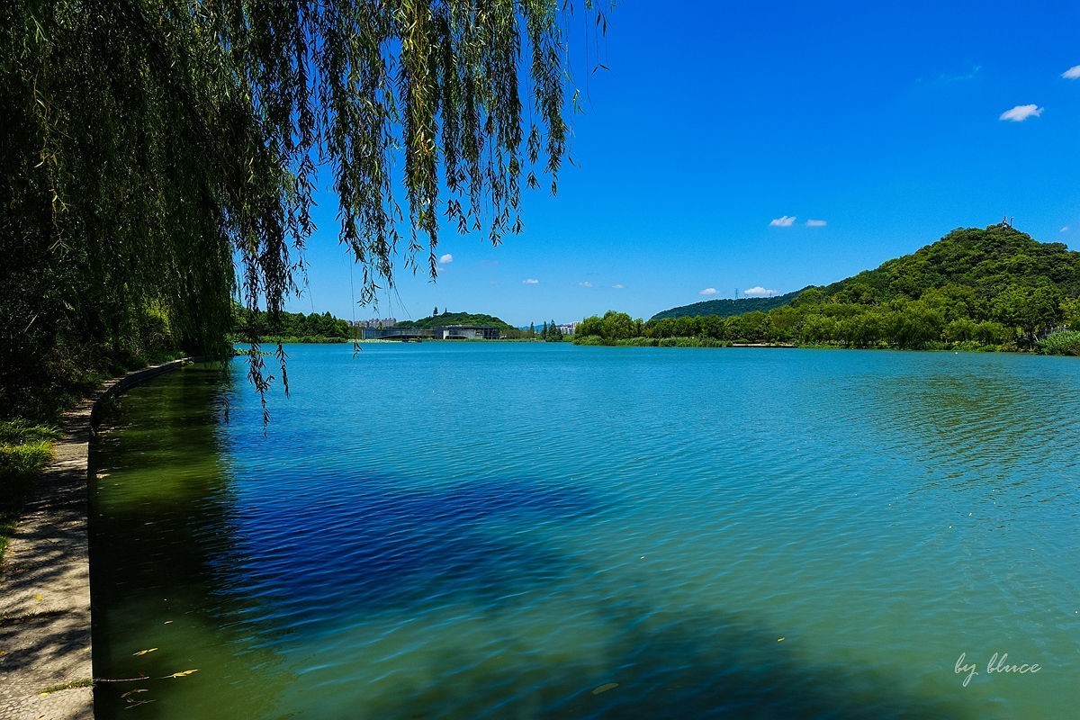 夏日湘湖（9）